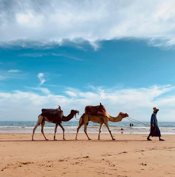 Travel Surf Nature Tamraght Ngoại thất bức ảnh